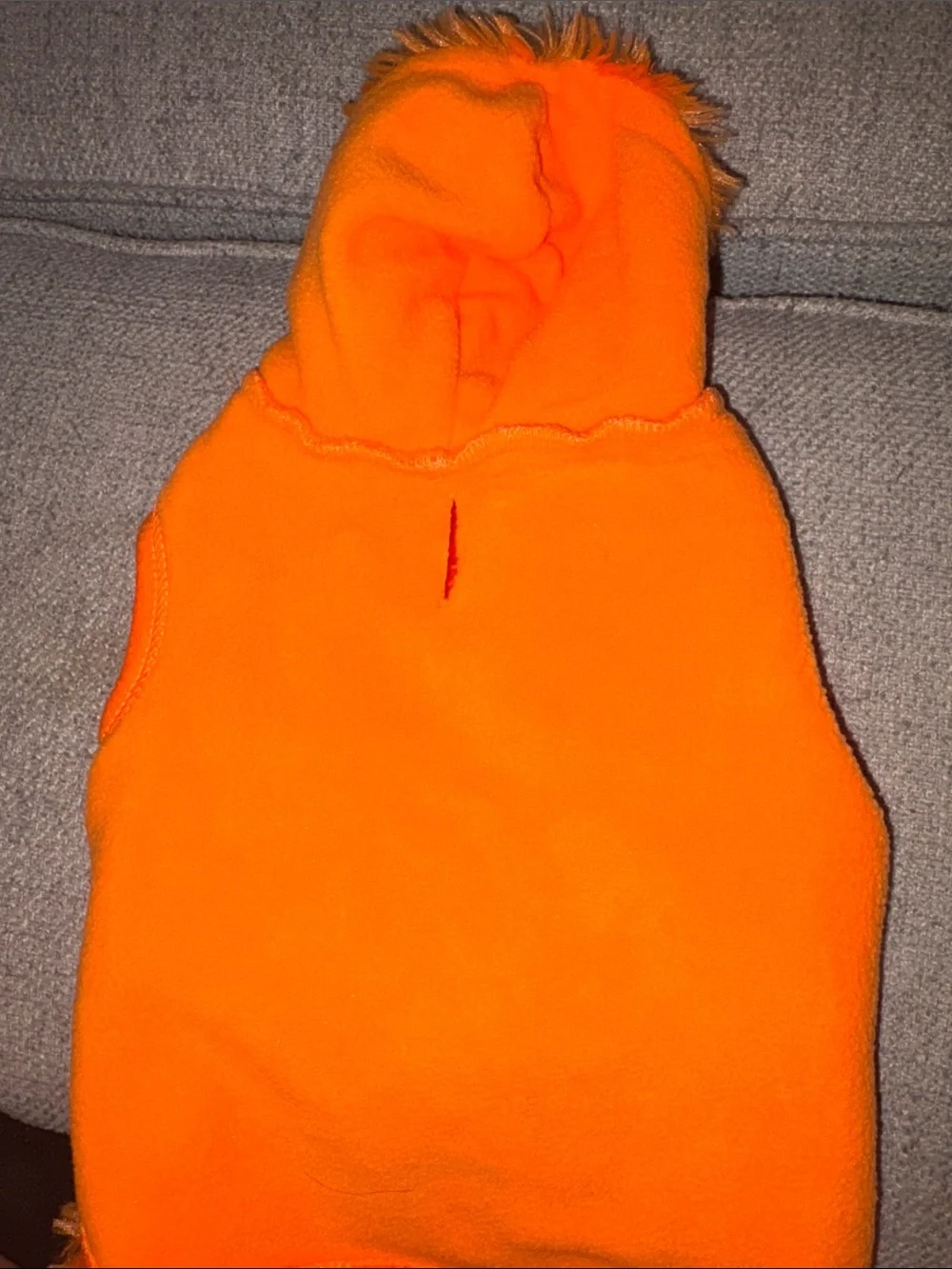 Plush Orange Pumpkin Dog Costume with hood and leash hole